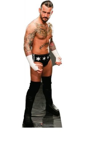 You can find anything on Amazon! I’m sure I have room for a life-size cut-out CM Punk…